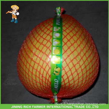 Fresh Fruit High Quality Fresh Pomelo - Jining Rich Farmer International Trade Co.,Ltd